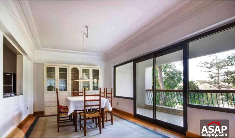 Apartment with Big Terrace for Rent in Dokki Apartment with Big Terrace for Rent in Dokki