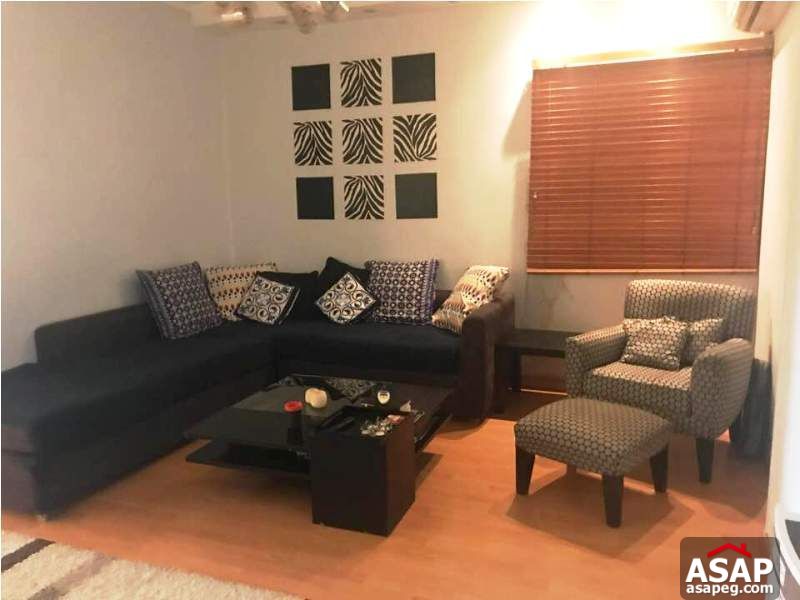 Nice Property in Zamalek for Rent Nice Property in Zamalek for Rent