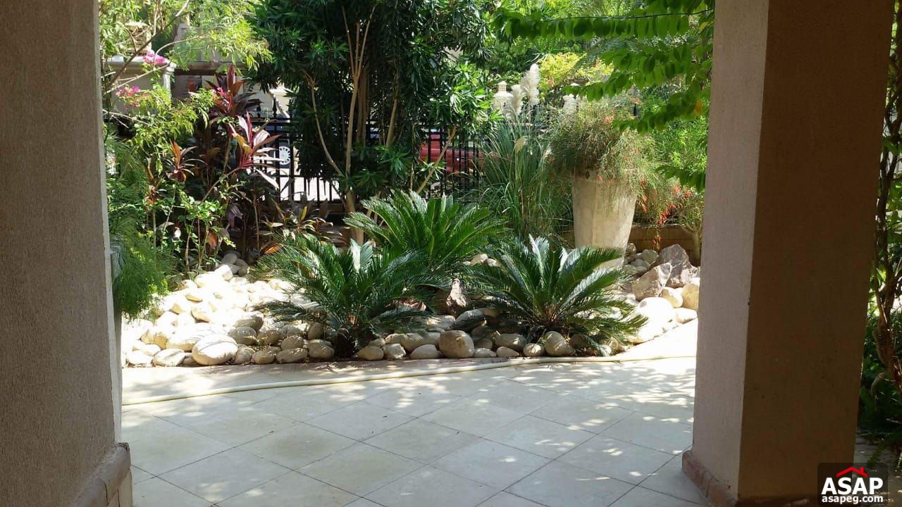 Apartment with Big Garden in Katameya Heights Apartment with Big Garden in Katameya Heights