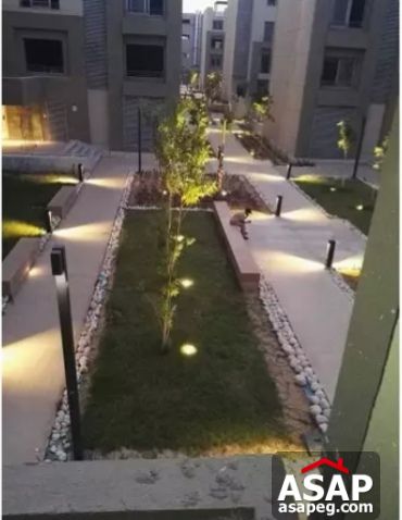 Duplex with Garden for Sale in Village Avenue Compound Duplex with Garden for Sale in Village Avenue Compound