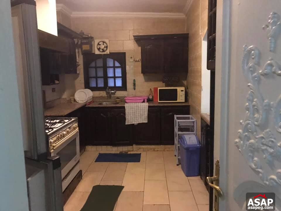 Apartment for Rent in Zamalek Apartment for Rent in Zamalek