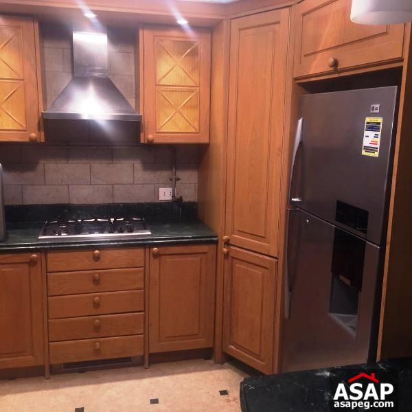 Furnished Apartment in Zamalek Furnished Apartment in Zamalek