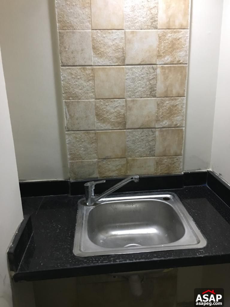 Duplex with Garden in Eastown for Rent