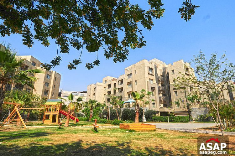 Penthouse for Rent in The Village Compound Penthouse for Rent in The Village Compound