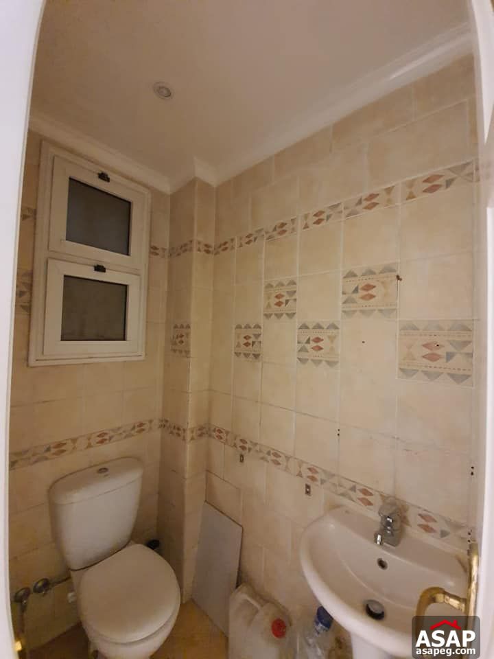 Apartment for Rent in Zamalek Apartment for Rent in Zamalek