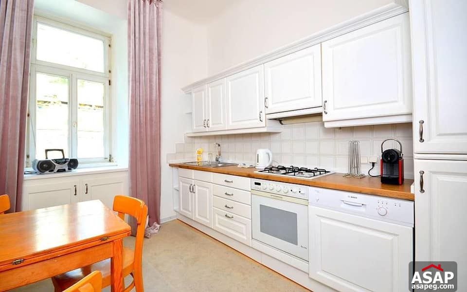 Furnished Flat for Rent in Zamalek Furnished Flat for Rent in Zamalek