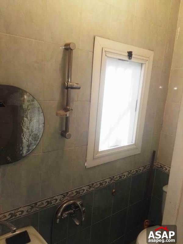 Apartment with Big Roof for Rent in Zamalek Apartment with Big Roof for Rent in Zamalek