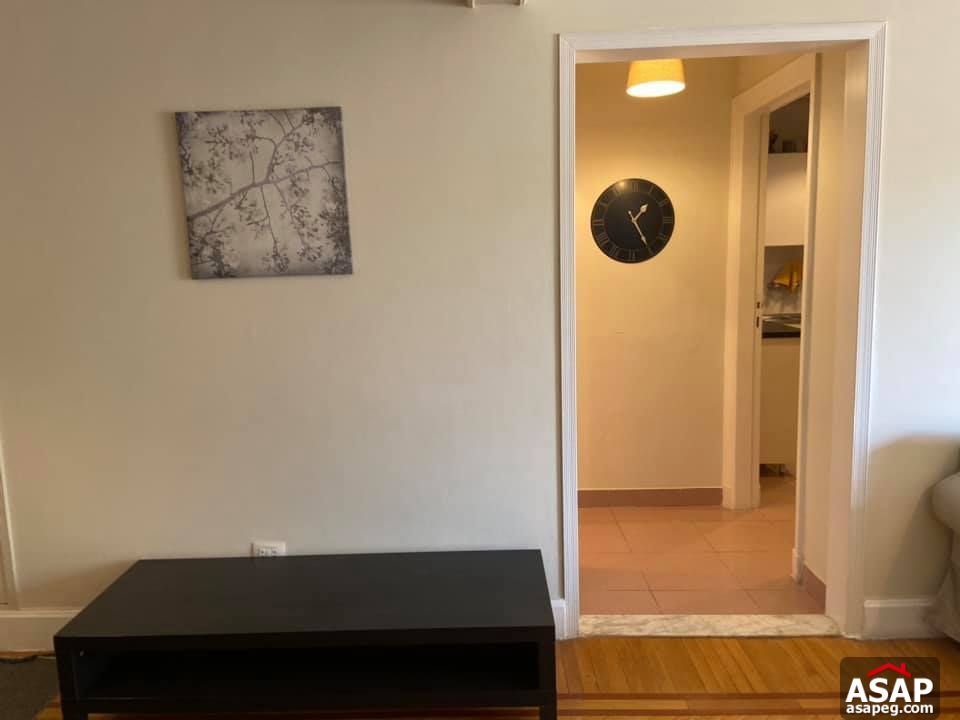 Apartment for Rent in Zamalek Apartment for Rent in Zamalek