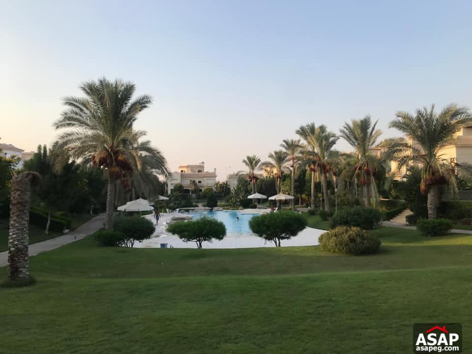 Villa for Rent in EL Patio 1 Compound Villa for Rent in EL Patio 1 Compound