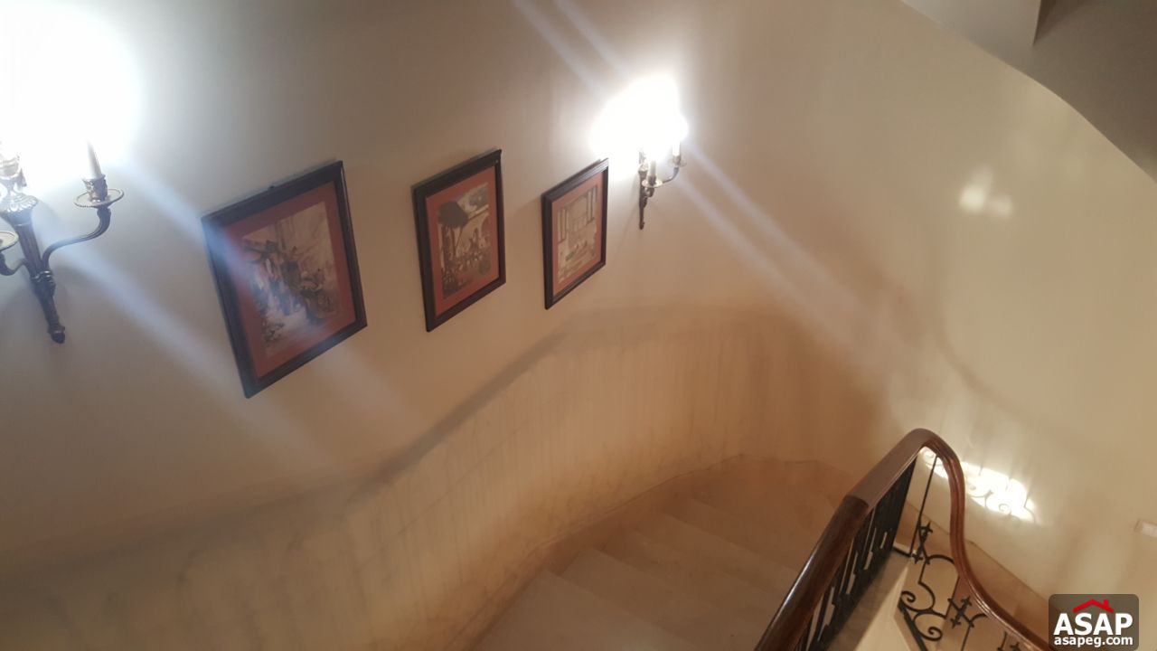 Villa for Rent in Meadows Park Villa for Rent in Meadows Park