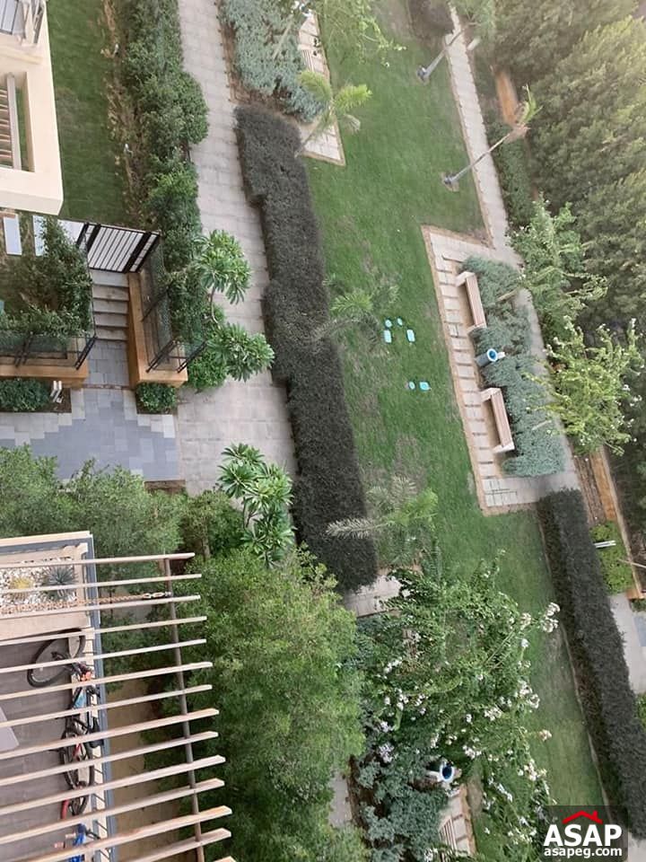 Triplex for Rent in Eastown Sodic