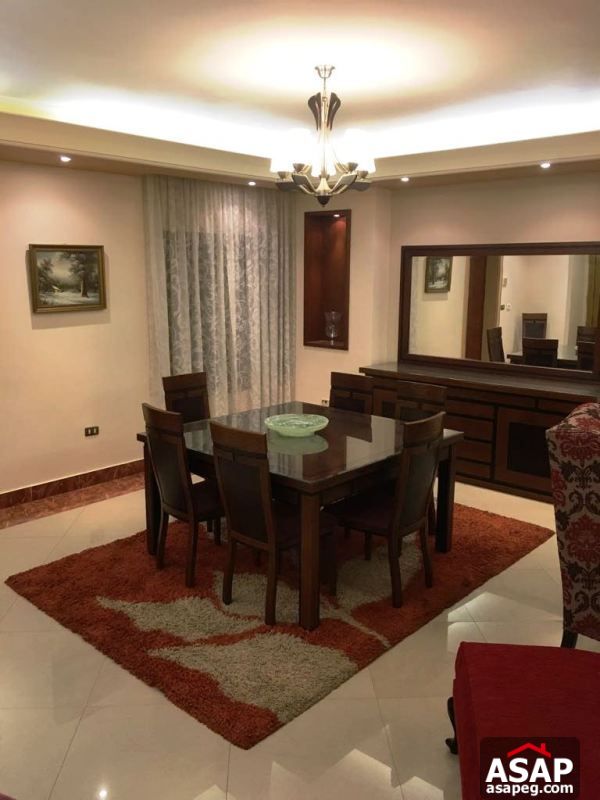 Furnished Apartment with Nile View in Dokki