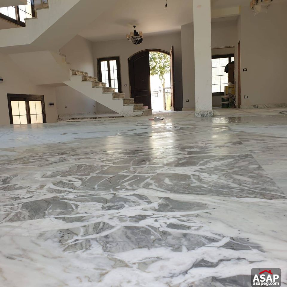 Stand Alone for Rent in Hyde Park Stand Alone for Rent in Hyde Park