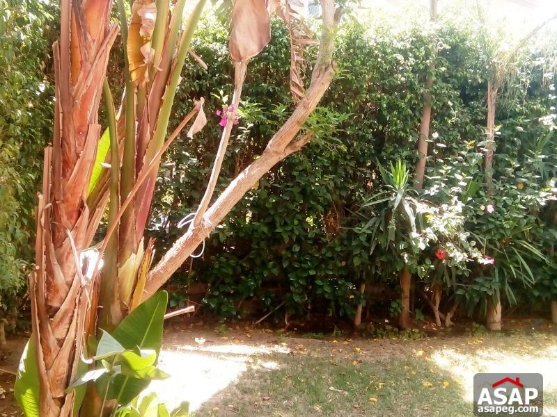 Villa with Garden for Rent in Rehab Villa with Garden for Rent in Rehab