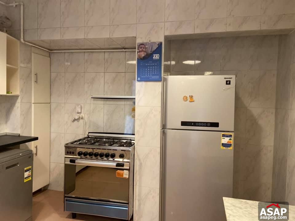 Apartment for Rent in Zamalek Apartment for Rent in Zamalek