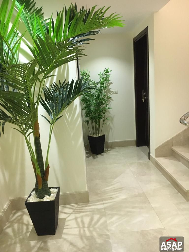 Furnished Villa for Sale in Hyde Park Furnished Villa for Sale in Hyde Park