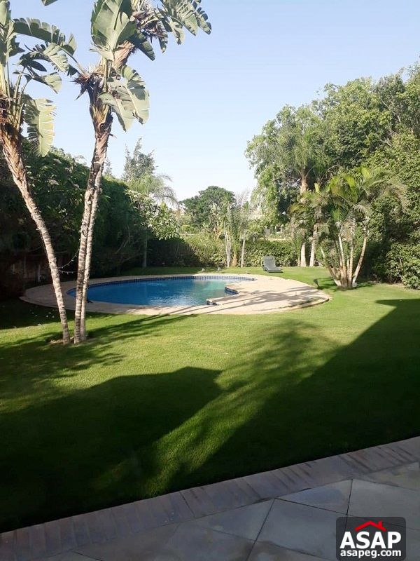 Villa with Pool for Rent in Katameya Heights Villa with Pool for Rent in Katameya Heights
