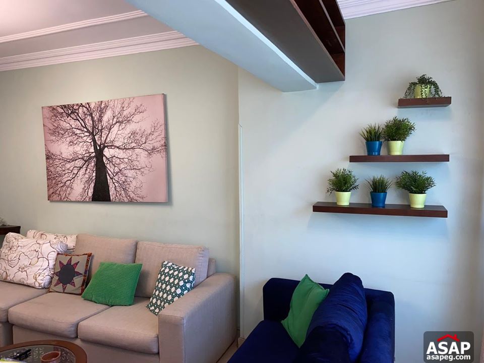 Apartment for Rent in Maadi Degla Apartment for Rent in Maadi Degla