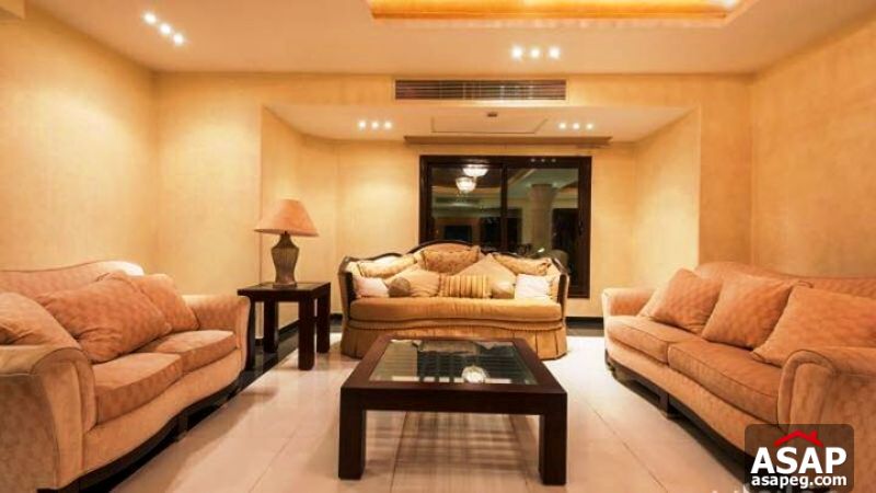 Fully Furnished Apartment for Rent in 1st Settlement Fully Furnished Apartment for Rent in 1st Settlement