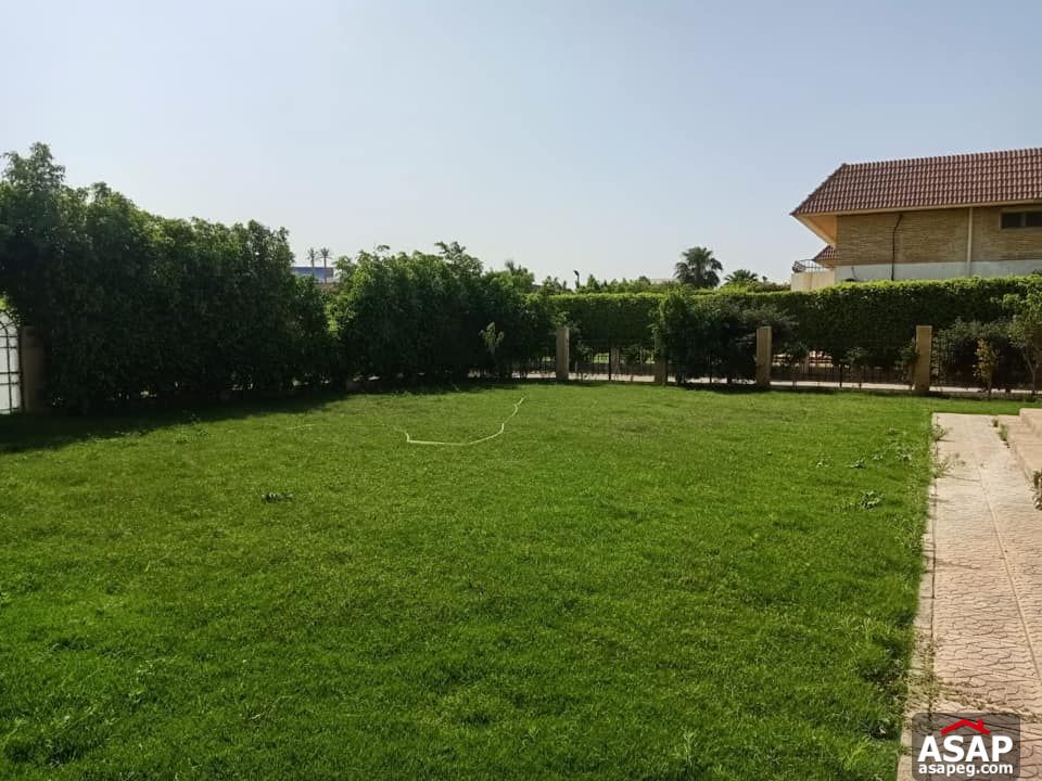 Villa for Rent in Rabwa - Sheikh Zayed Villa for Rent in Rabwa - Sheikh Zayed