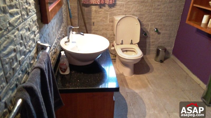 Nice Furnished Studio in Agouza Nice Furnished Studio in Agouza