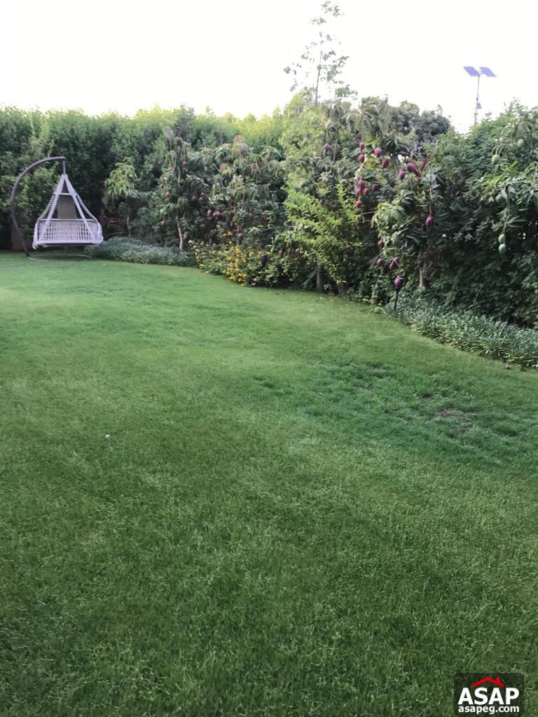 Stand Alone for Rent in Mivida Emaar