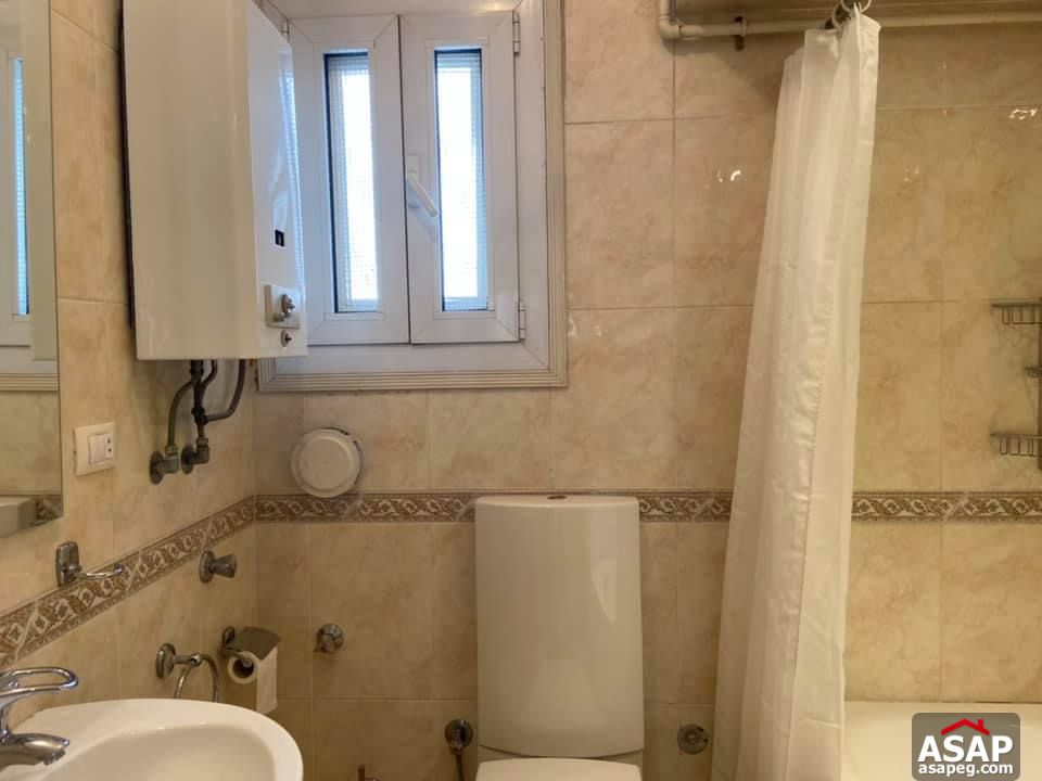 Apartment for Rent in Zamalek Apartment for Rent in Zamalek