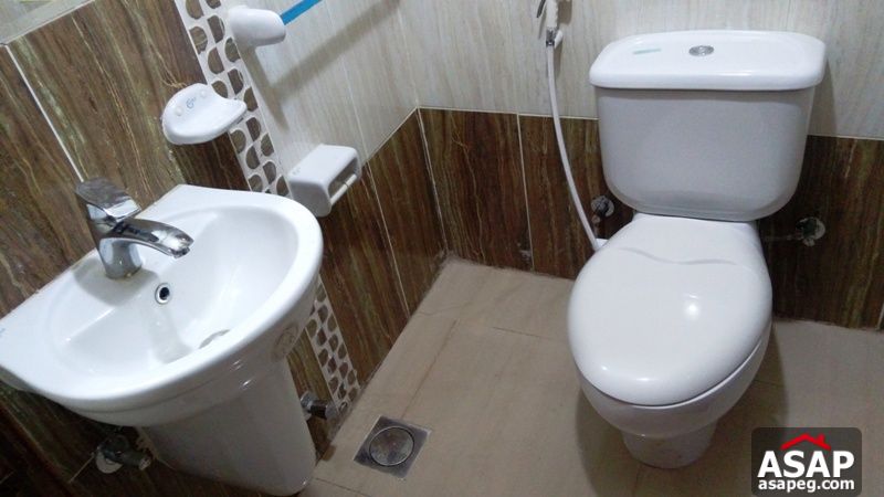 Furnished Apartment with Balcony for Rent in Dokki Furnished Apartment with Balcony for Rent in Dokki