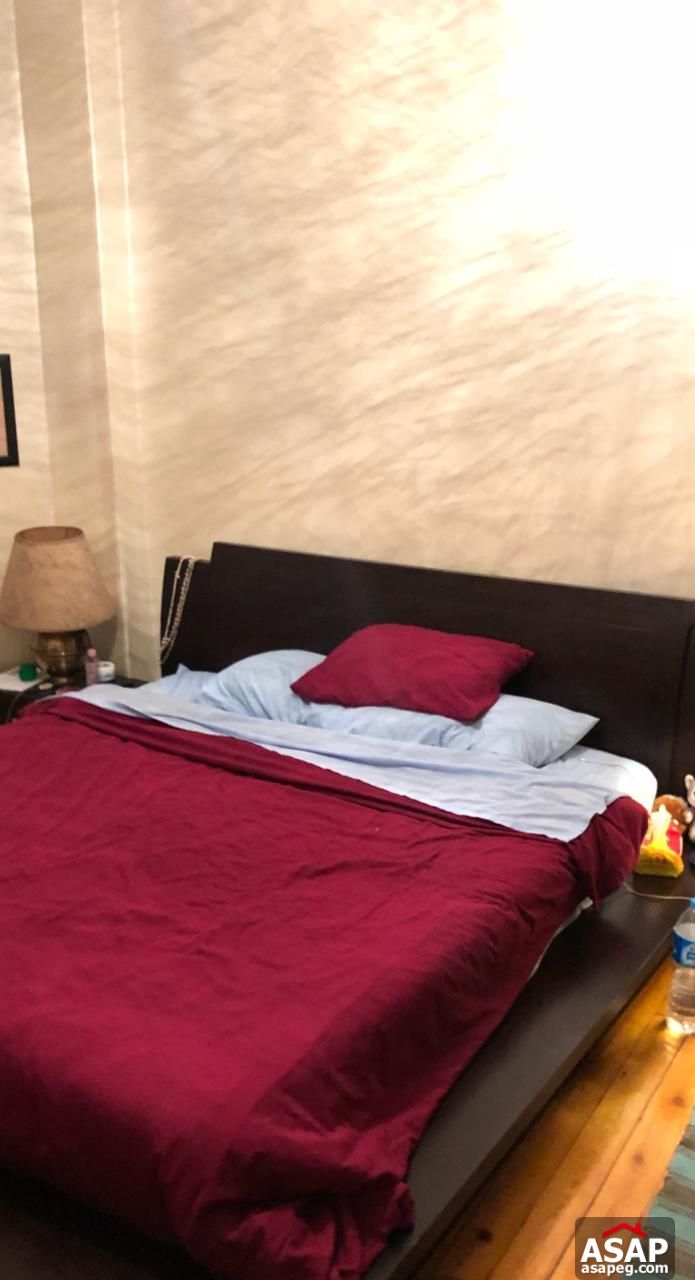 Furnished Apartment for Rent in Zamalek Furnished Apartment for Rent in Zamalek