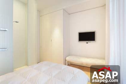 Nica Flat for Rent in Zamalek Nica Flat for Rent in Zamalek