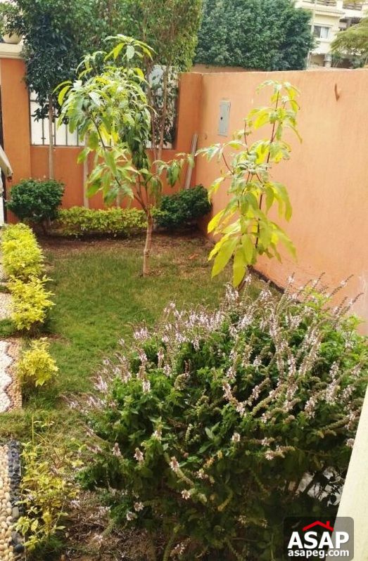 Town House for Rent in New Cairo