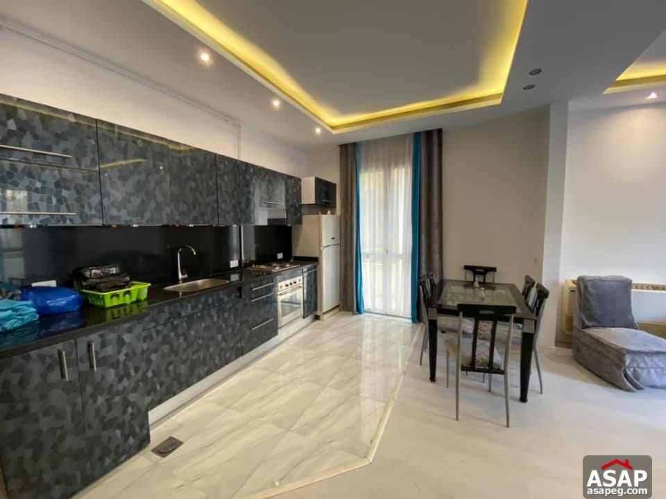 Apartment for Rent in Zamalek Apartment for Rent in Zamalek