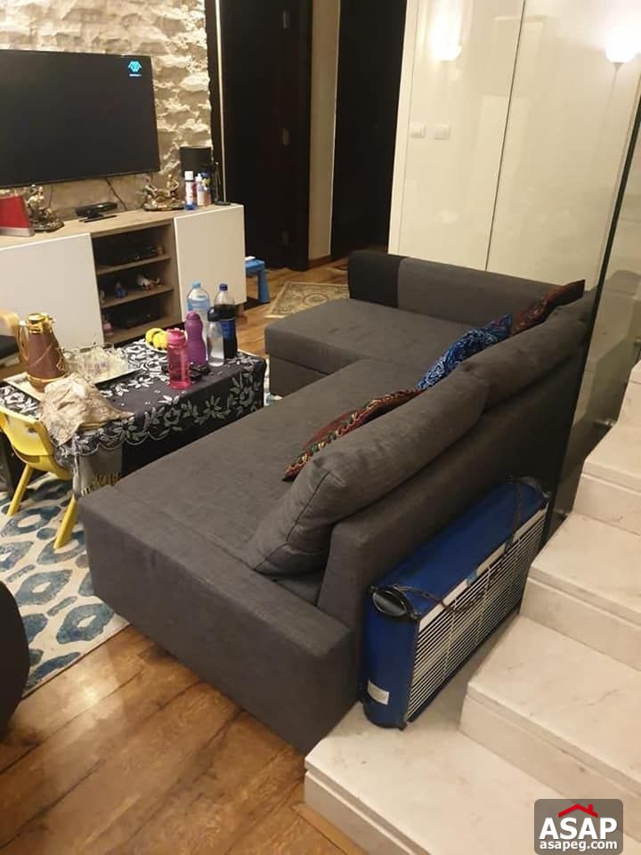 Triplex for Rent in Eastown Sodic