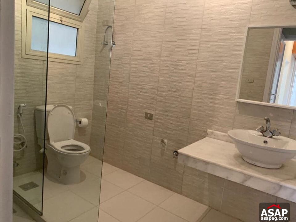 Apartment for Rent in Zamalek Apartment for Rent in Zamalek