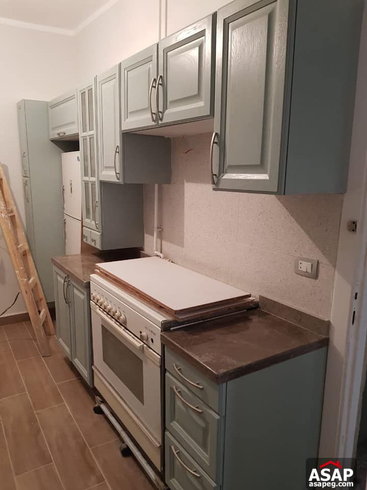 Apartment for Rent in Zamalek Apartment for Rent in Zamalek