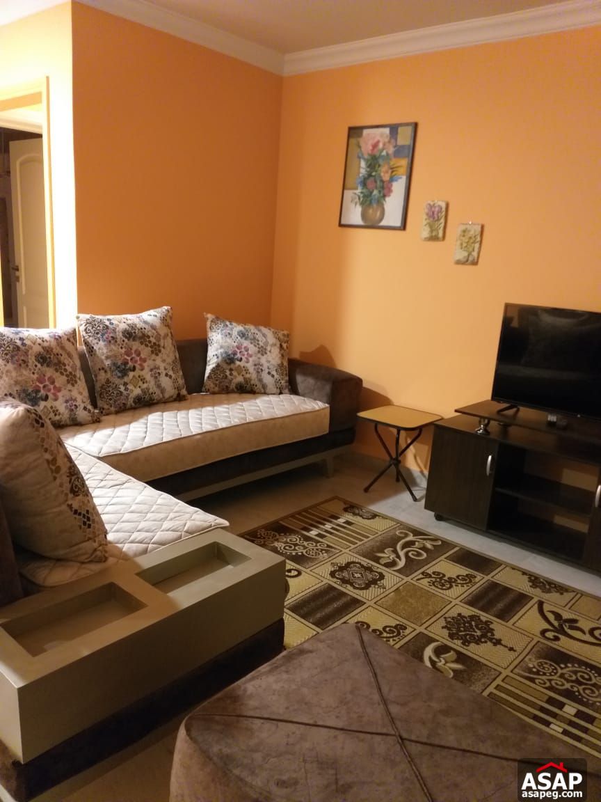 Furnished Apartment for Rent in New Cairo Furnished Apartment for Rent in New Cairo