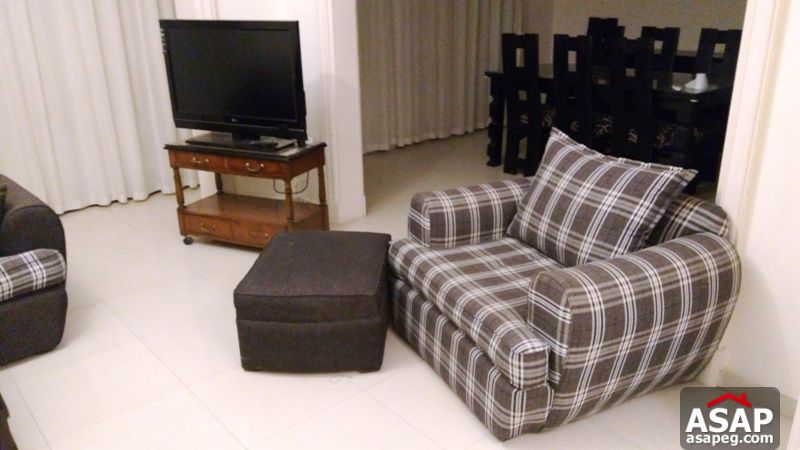 Furnished Apartment with Balcony in Zamalek Furnished Apartment with Balcony in Zamalek