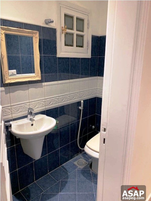 Apartment with Nile View in Zamalek for Rent Apartment with Nile View in Zamalek for Rent