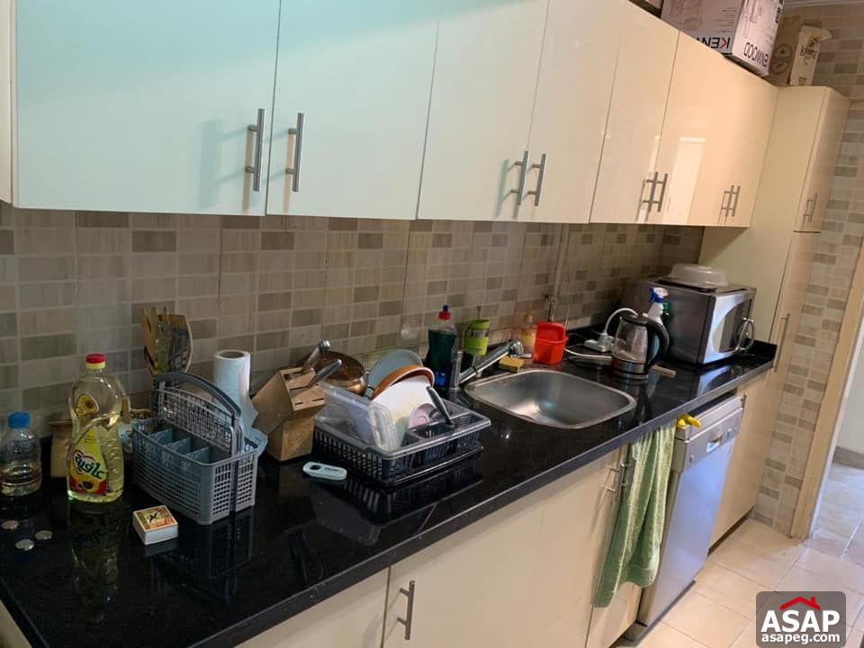 Apartments for Rent in Zamalek Apartments for Rent in Zamalek