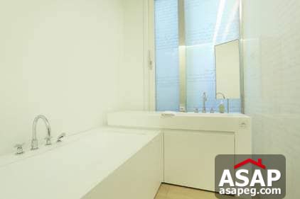 Nica Flat for Rent in Zamalek Nica Flat for Rent in Zamalek