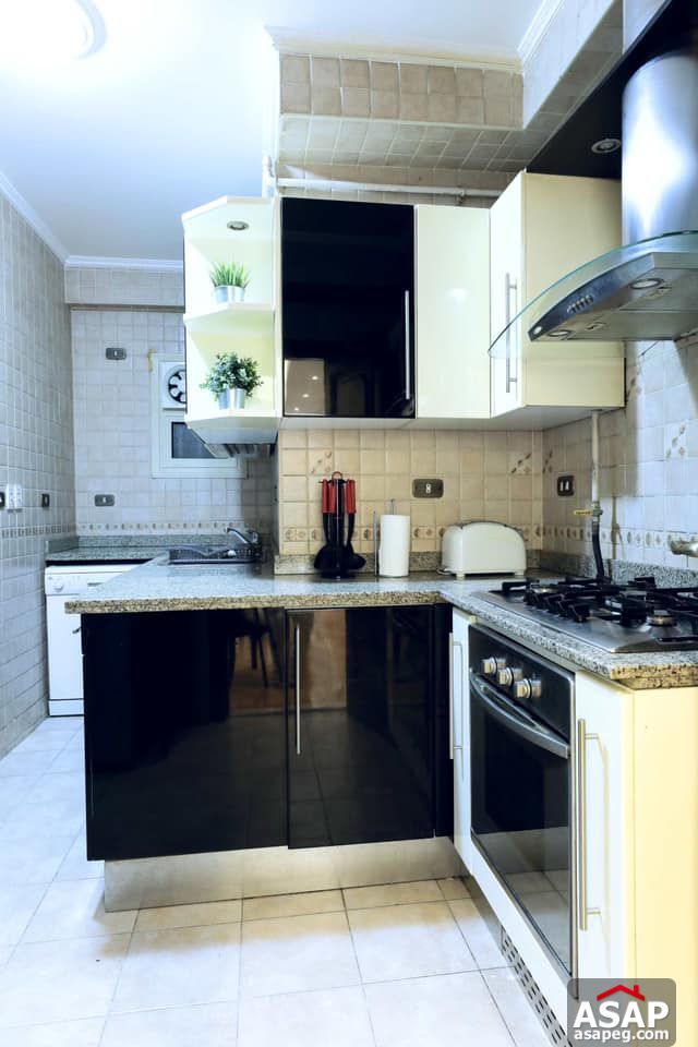 Apartment for Rent in Zamalek Apartment for Rent in Zamalek