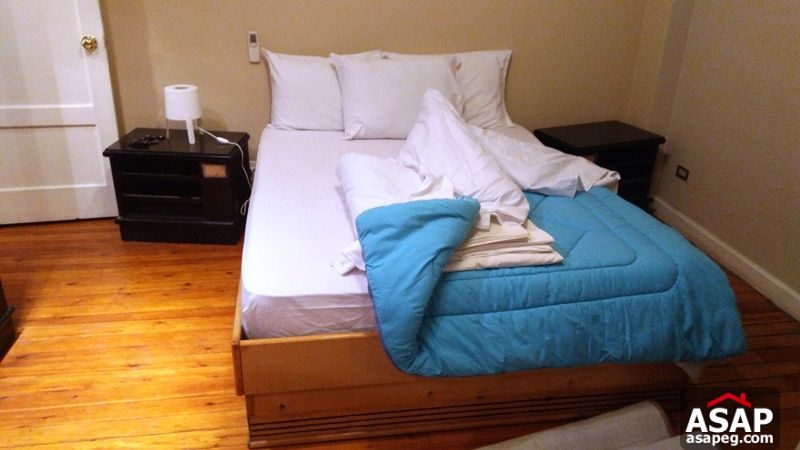 Modern Furnished Apartment for Rent in Mohandiseen