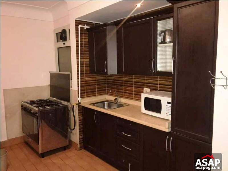 Furnished Apartment for Rent in Zamalek Furnished Apartment for Rent in Zamalek
