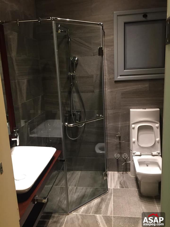 Apartment for Rent in Zamalek Apartment for Rent in Zamalek