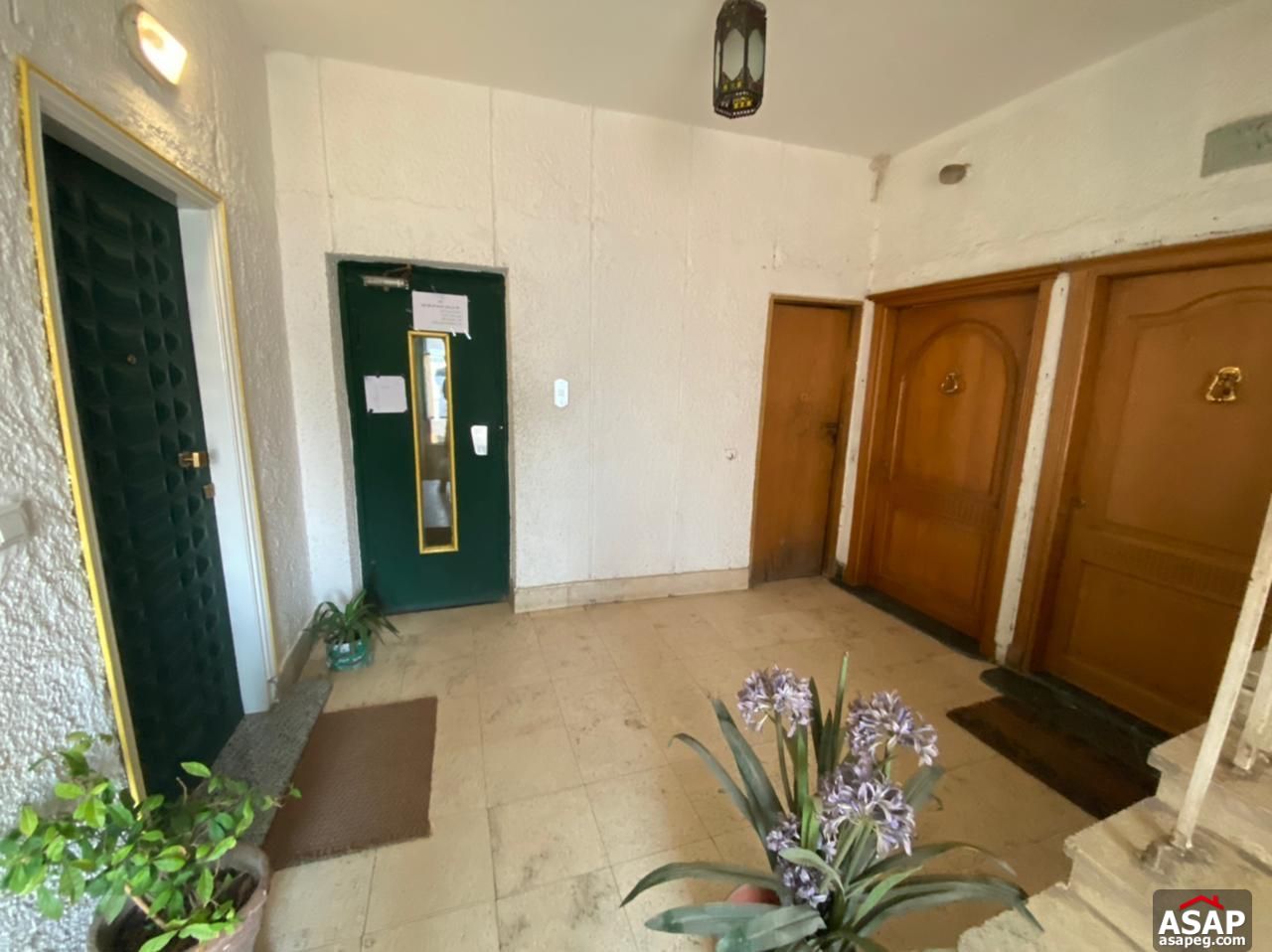 Furnished Apartment for Rent in Mohandiseen Furnished Apartment for Rent in Mohandiseen