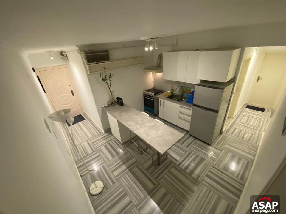 Furnished Apartment for Rent in Zamalek Furnished Apartment for Rent in Zamalek