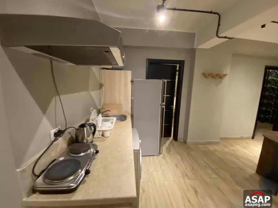 Apartment for Rent in Zamalek Apartment for Rent in Zamalek