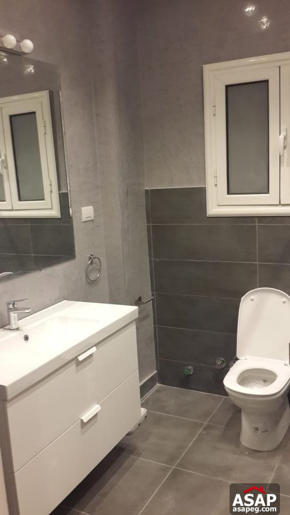 Furnished Flat for Rent in Zamalek Furnished Flat for Rent in Zamalek