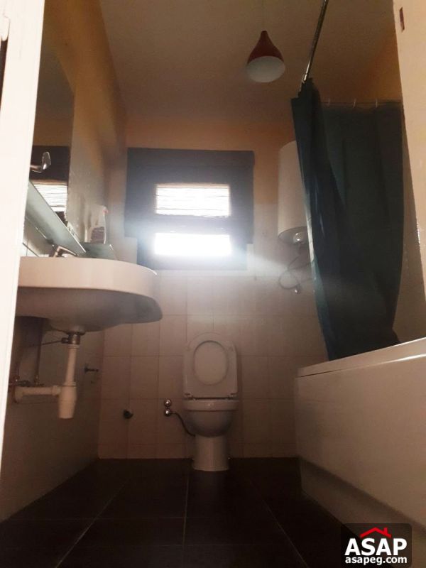 Furnished Apartment for Rent in Mohandiseen Furnished Apartment for Rent in Mohandiseen