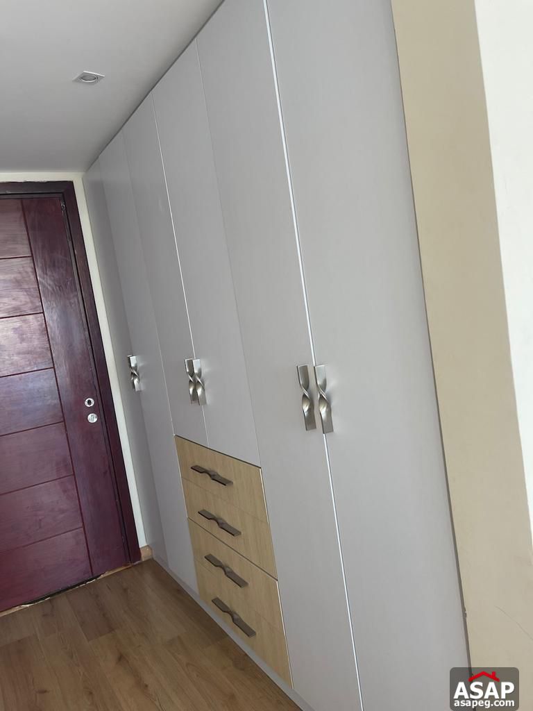 Furnished Apartment for Rent in Hyde Park